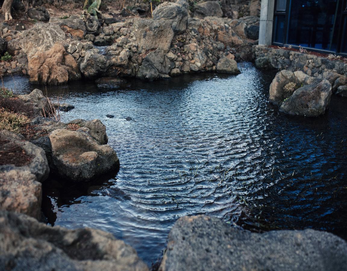 Jeju Feel Pension מראה חיצוני תמונה